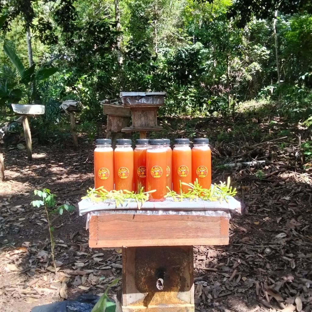 Madu kelulut KMB